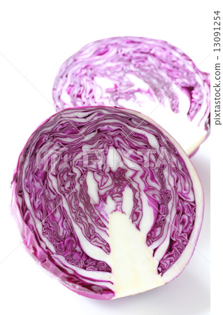 Red cabbage Red cabbage 13091254