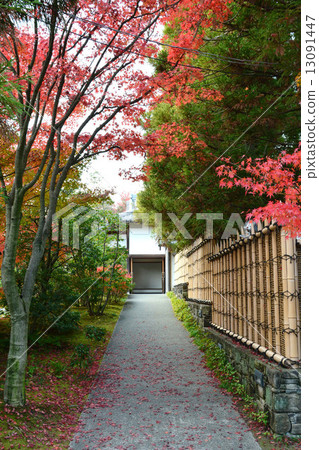 老花園的秋天 13091447