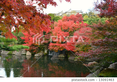 Fall of old garden 13091463