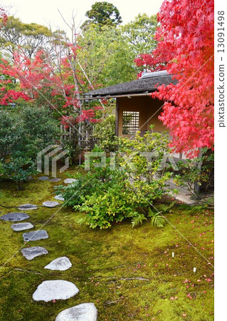 老花園的秋天 13091498