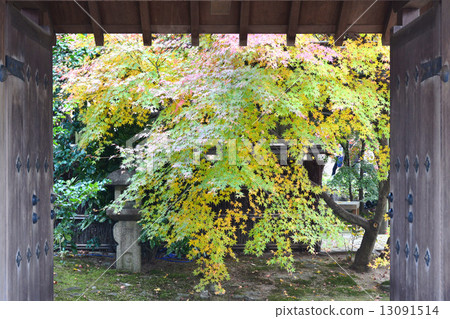 老花園的秋天 老花園的秋天 13091514