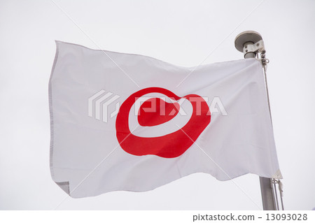 Flag of Okinawa prefecture chapter 13093028