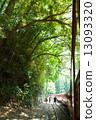 Oigawa Railway 13093320