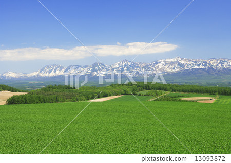 Hokkaido Kamifurano-cho Wheat field and the remaining Tokachi dugong Hokkaido Kamifurano-cho Wheat field and the remaining Tokachi dugong 13093872
