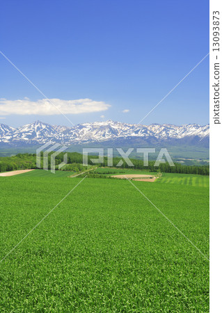 Hokkaido Kamifurano-cho Wheat field and the remaining Tokachi dugong Hokkaido Kamifurano-cho Wheat field and the remaining Tokachi dugong 13093873