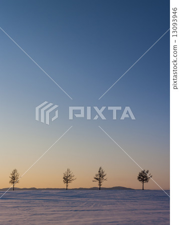 Hill of fairy tale (length, winter, 4 trees) Hill of fairy tale (length, winter, 4 trees) 13093946