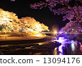 Cherry blossoms at night 13094176