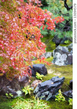 Autumn leaves in the northern garden of Kodaiji temple Autumn leaves in the northern garden of Kodaiji temple 13094579