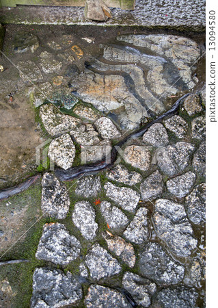 Paving stone of Kodaiji temple 13094580