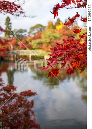 Eiken temple, Autumn leaves of an evacuation pond and Kinshuku Bridge 13094985
