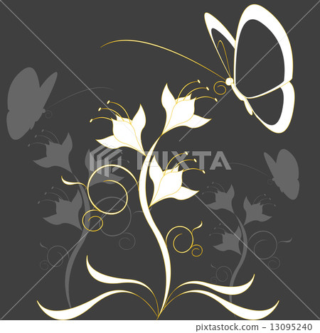 butterfly on flower 13095240