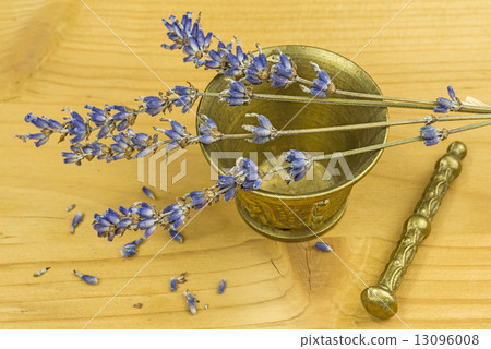 Lavender with mortar 13096008