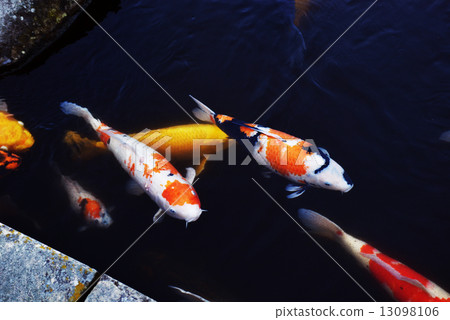 Nagasaki Tourism Image 13098106