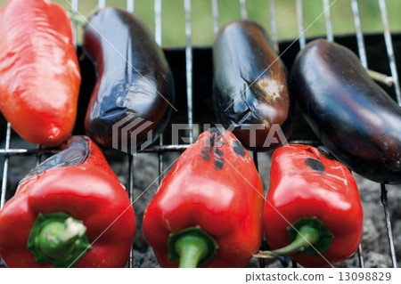 Baked vegetables on a grill Baked vegetables on a grill 13098829