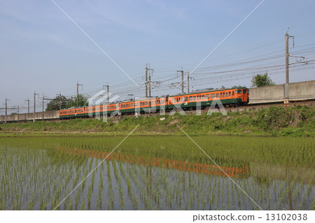 Utsunomiya Line 115 series (Kuroiso line / Pinch runner: Ryomo line direct train) 13102038