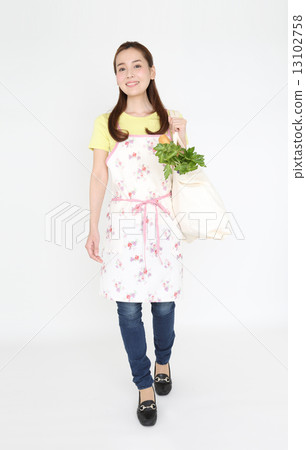 Housewife shopping 13102758