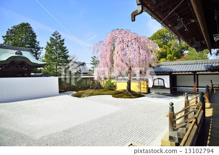 春天在京都 13102794