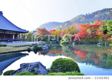 京都的秋天 京都的秋天 13102802