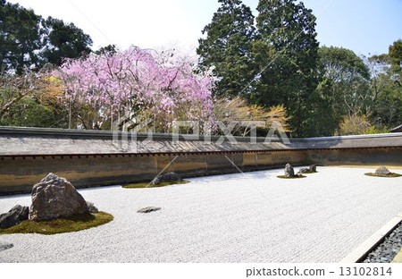 Spring in Kyoto 13102814