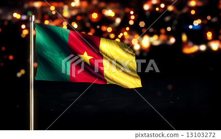 Cameroon National Flag City Light Night Bokeh Background 3D 13103272