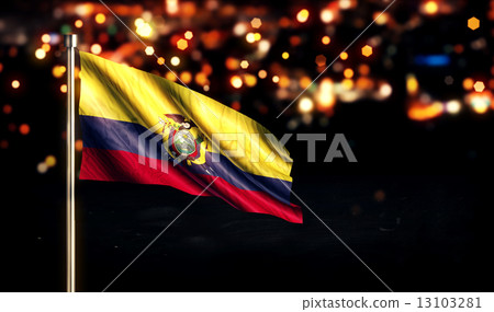 Ecuador National Flag City Light Night Bokeh Background 3D 13103281
