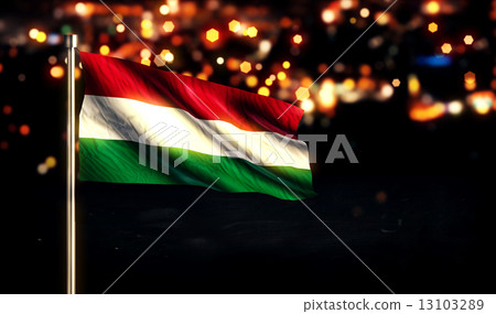 Hungary National Flag City Light Night Bokeh Background 3D 13103289
