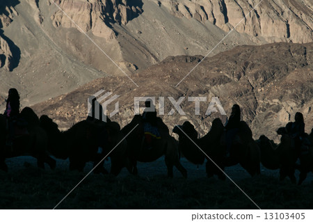 Caravan of travellers 13103405