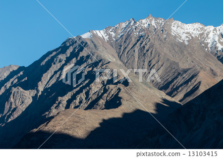 Nubra valley in Himalayas, Hunder, Ladakh, India 13103415