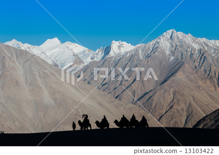 Caravan of travellers 13103422