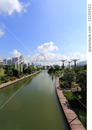 The Supertrees Grove at Gardens by the Bay 13103423