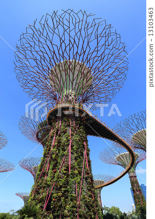 The Supertrees Grove at Gardens by the Bay 13103463