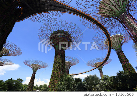 The Supertrees Grove at Gardens by the Bay 13103506