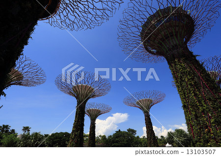 The Supertrees Grove at Gardens by the Bay 13103507