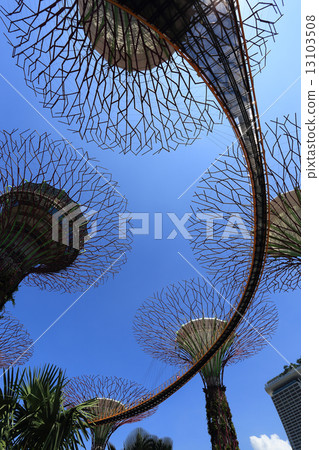 The Supertrees Grove at Gardens by the Bay 13103508