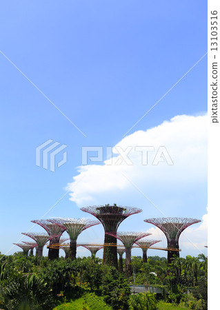 view of The Supertrees Grove at Gardens by the Bay view of The Supertrees Grove at Gardens by the Bay 13103516