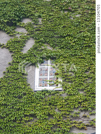 Window with ivy 13104705