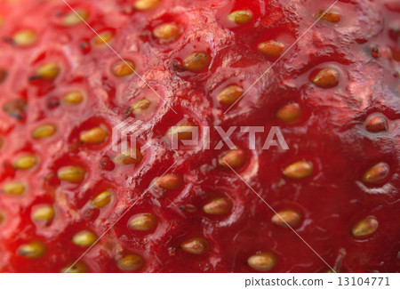 fresh strawberry fresh strawberry 13104771