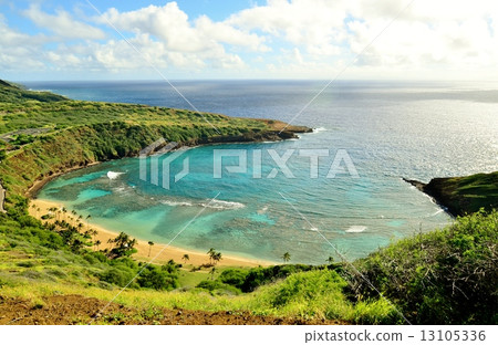 夏威夷的假期 夏威夷的假期 13105336