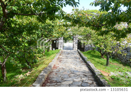 Major road of Nakijin castle (Okinawa prefecture Kokubo-gun Nakijin village) Major road of Nakijin castle (Okinawa prefecture Kokubo-gun Nakijin village) 13105631