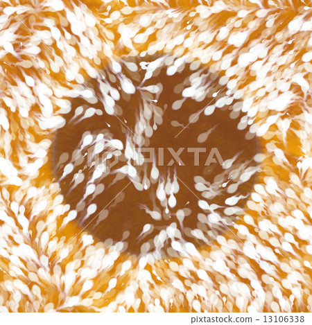 Bacteria under microscope 13106338