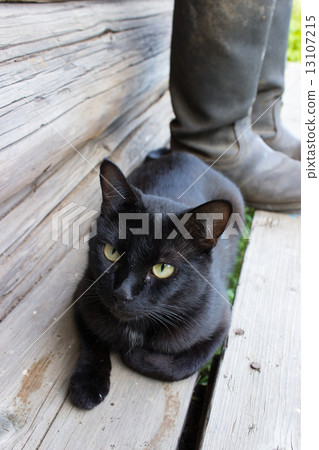 Black cat and tarpaulin boots Black cat and tarpaulin boots 13107215