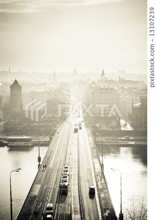 Town in Sepia Colour 13107239