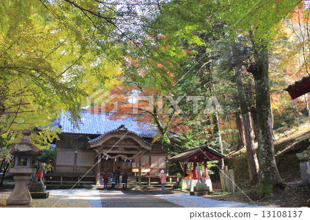 秋天的樹葉 13108137