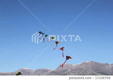 Kite flying 13108709