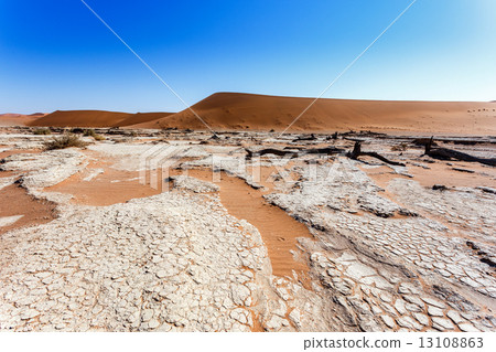 Sossusvlei beautiful landscape of death valley Sossusvlei beautiful landscape of death valley 13108863