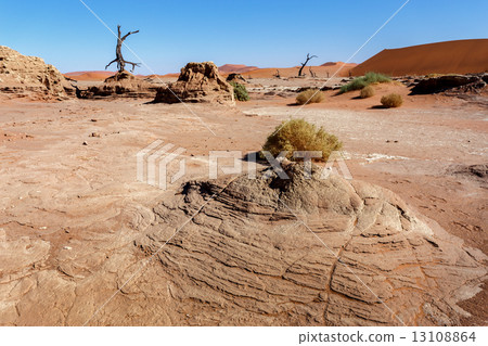 Sossusvlei beautiful landscape of death valley 13108864