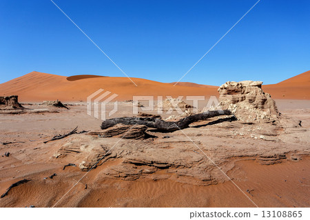 Sossusvlei beautiful landscape of death valley Sossusvlei beautiful landscape of death valley 13108865