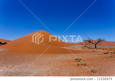 Dune 45 in sossusvlei NamibiaDune 45 in sossusvlei Namibia, view 13108874