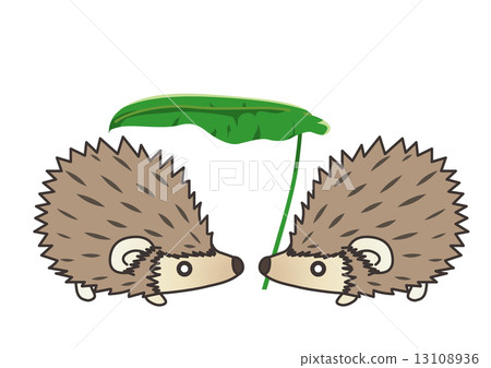 Hedgehog 13 13108936