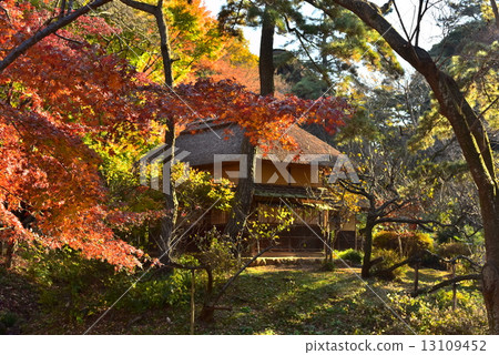 Sanshien garden Horisanan autumn leaves 13109452
